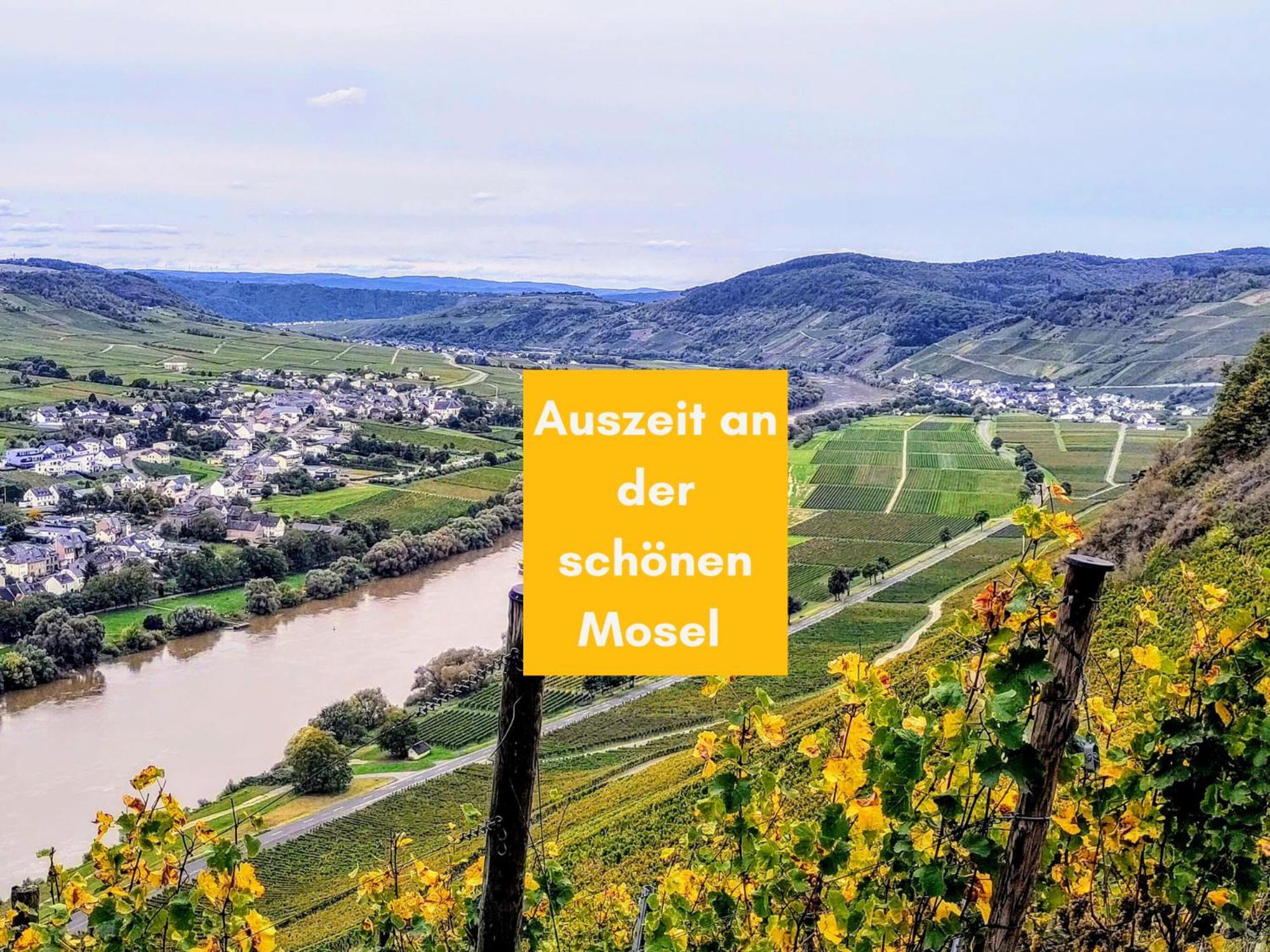 Komfort Fewo L Moselstay L Maximal 4 Personen Und Baby I Brauneberg Mosel I Wifi I Εξωτερικό φωτογραφία